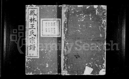 浙江王氏族谱-凤林王氏宗谱 [10卷].pdf电子版预览图1