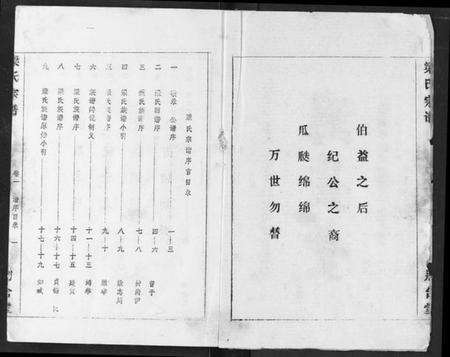 湖北梁氏族谱-梁氏宗谱.pdf电子版预览图2