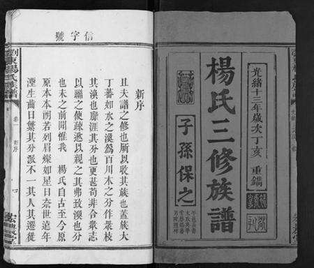 湖南杨氏族谱-浏东杨氏族谱[4卷].pdf电子版预览图1