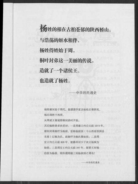 湖南杨氏族谱-益阳杨氏茂公 五修族谱.pdf电子版预览图2