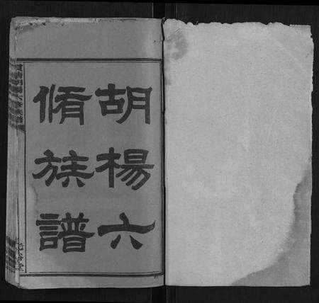 湖南杨氏族谱-贯塘胡杨六修族谱[22卷].pdf电子版预览图1