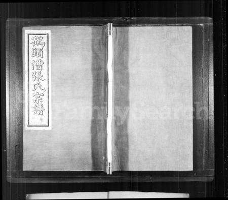 浙江张氏族谱-鹤颈漕张氏宗谱 [16卷,首1卷].pdf电子版预览图1