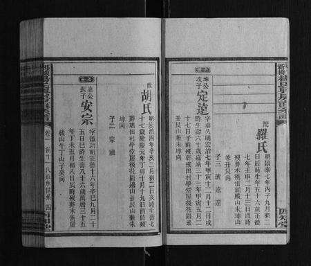 湖南杨氏族谱-邵东新桥杨氏兴房直系谱[8卷首1卷].pdf电子版预览图4