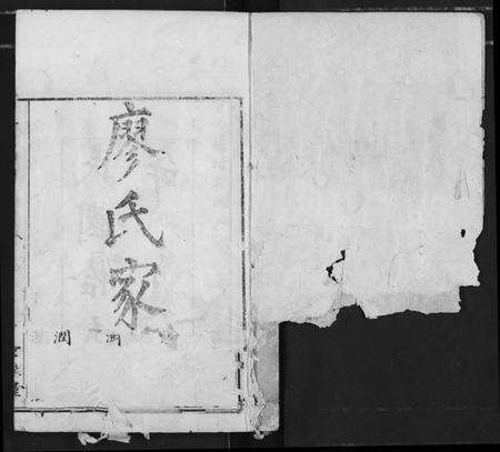 湖北廖氏族谱-廖氏族谱.pdf电子版预览图1