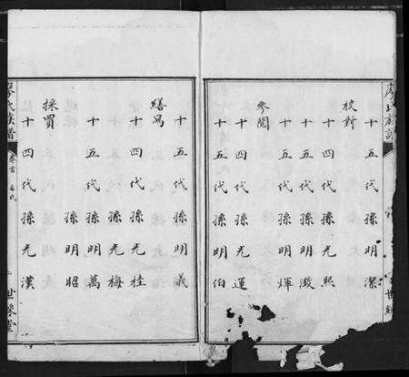 湖北廖氏族谱-廖氏族谱.pdf电子版预览图3