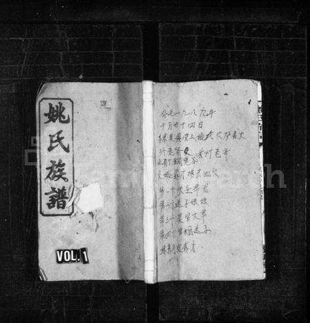 湖南姚氏族谱-姚氏族谱 [10卷].pdf电子版预览图1