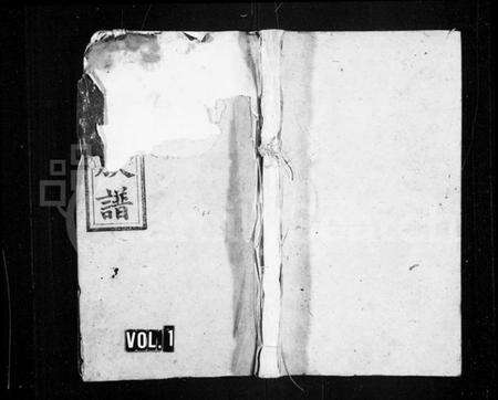 湖南姚氏族谱-姚氏族谱 [28卷,首3卷].pdf电子版预览图1