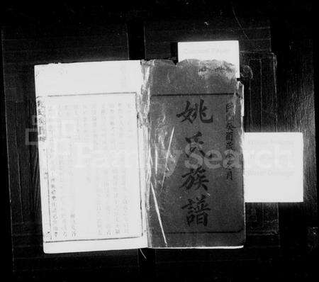 湖南姚氏族谱-姚氏族谱 [28卷,首3卷].pdf电子版预览图2