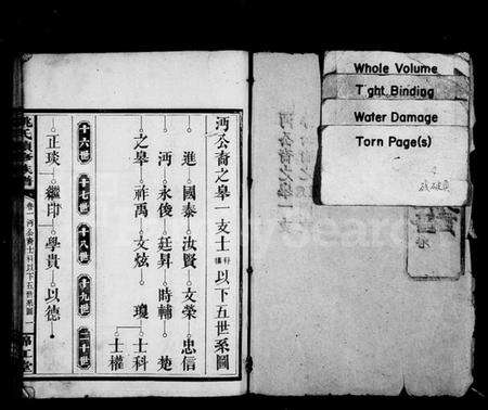 湖南姚氏族谱-姚氏续修族谱 [20卷].pdf电子版预览图2