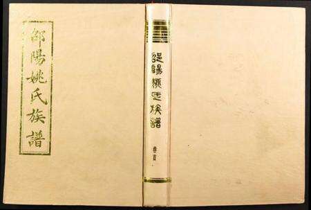 湖南姚氏族谱-邵阳姚氏族谱.pdf电子版缩略图