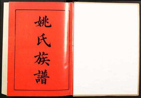 湖南姚氏族谱-邵阳姚氏族谱.pdf电子版预览图1