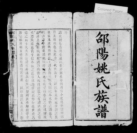 湖南姚氏族谱-邵阳姚氏族谱 [24卷,首末各1卷].pdf电子版预览图2