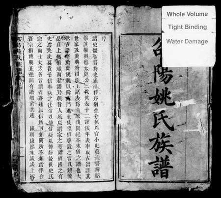 湖南姚氏族谱-邵阳姚氏族谱 [24卷,首末各1卷].pdf电子版预览图3