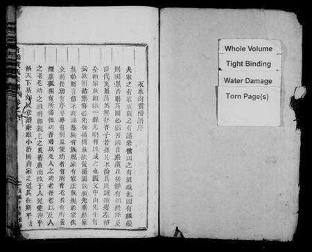 浙江黄氏族谱-黄氏宗谱[10卷及卷末].pdf电子版预览图2