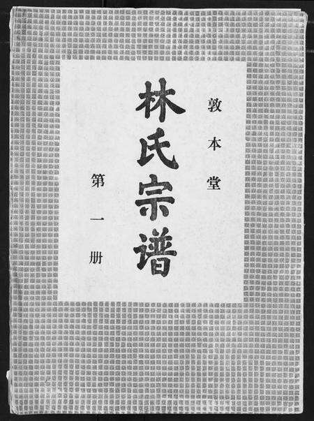 湖北林氏族谱-林氏宗谱.pdf电子版缩略图