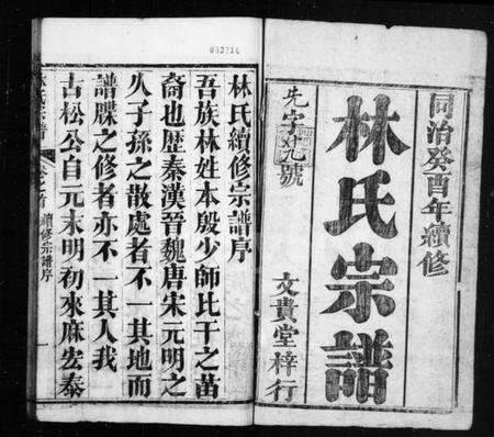 湖北林氏族谱-林氏宗谱 [10卷,首1卷].pdf电子版预览图1