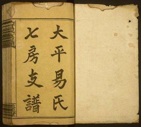 湖南易氏族谱-大坪易氏七房支谱.pdf电子版预览图1