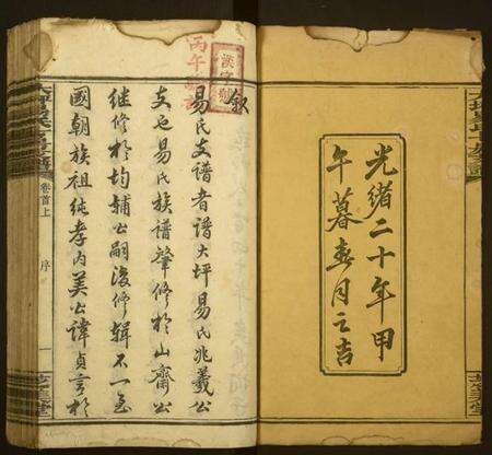 湖南易氏族谱-大坪易氏七房支谱.pdf电子版预览图2