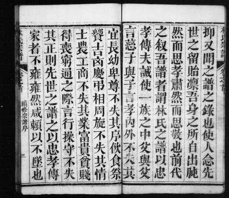 湖北林氏族谱-林氏宗谱 [10卷,首1卷].pdf电子版预览图3