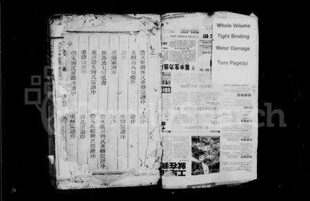 浙江齐氏族谱-齐氏家谱 [4卷].pdf电子版预览图2