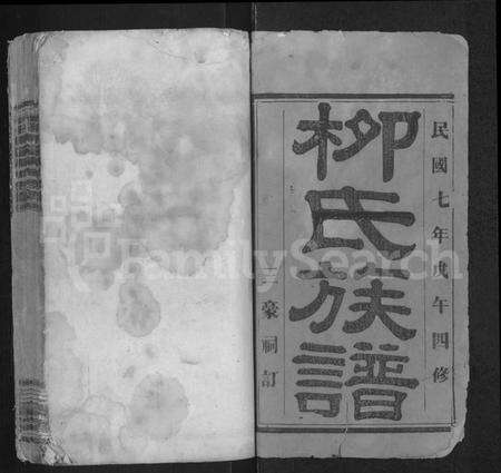 江西柳氏族谱-萍北佛岭柳氏族谱 [11卷,首3卷].pdf电子版预览图1