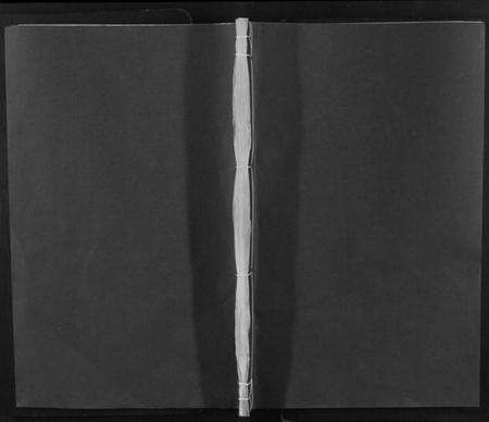 湖南易氏族谱-易氏续修庆源集[不分卷].pdf电子版缩略图