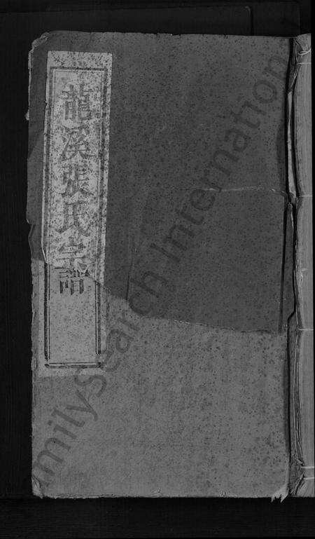 浙江张氏族谱-龙溪张氏十甲人房宗谱 [29卷].pdf电子版缩略图