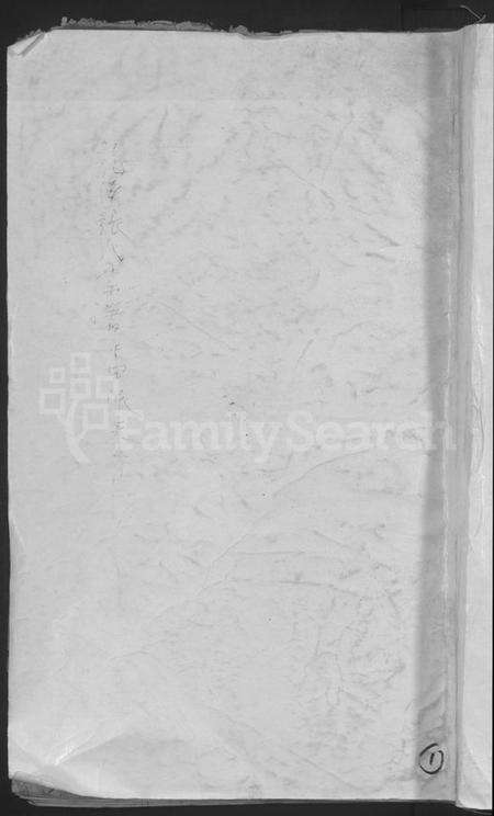 浙江张氏族谱-龙溪张氏宗谱.pdf电子版缩略图