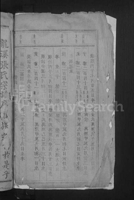 浙江张氏族谱-龙溪张氏宗谱.pdf电子版预览图2