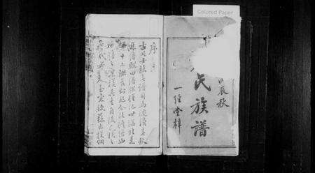 湖南尹氏族谱-上湘尹氏续修族谱 [10卷].pdf电子版预览图2