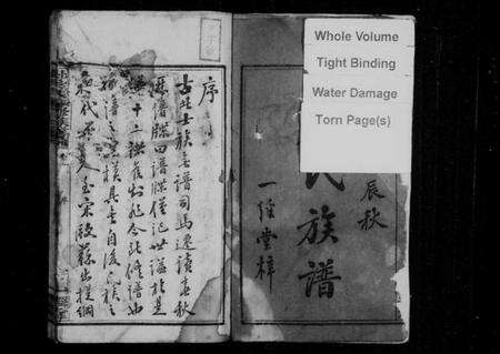 湖南尹氏族谱-上湘尹氏续修族谱 [10卷].pdf电子版预览图3