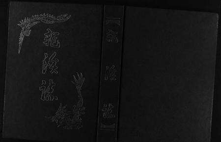 浙江叶氏族谱-龙溪志.pdf电子版预览图1