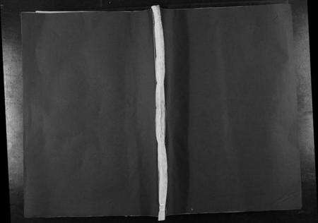 江西卢氏族谱-宁都麻田卢氏民籍十一修族谱[不分卷].pdf电子版缩略图