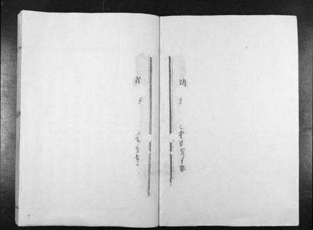 江西卢氏族谱-宁都麻田卢氏民籍十一修族谱[不分卷].pdf电子版预览图2