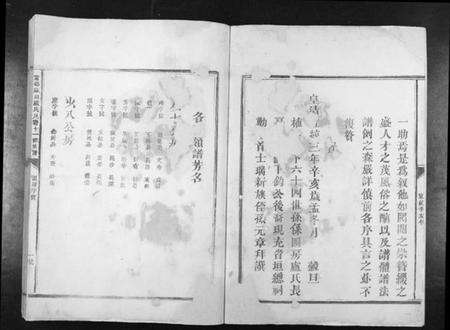 江西卢氏族谱-宁都麻田卢氏民籍十一修族谱[不分卷].pdf电子版预览图4