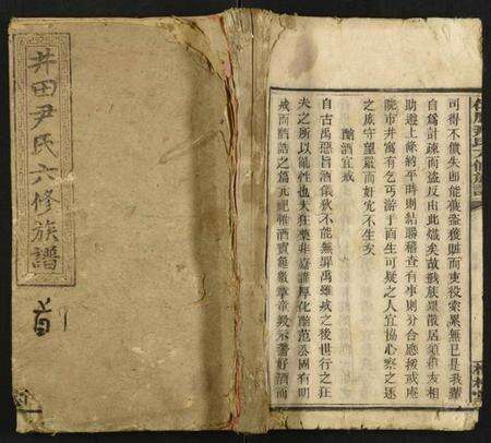 湖南尹氏族谱-仁风尹氏六修族谱.pdf电子版缩略图