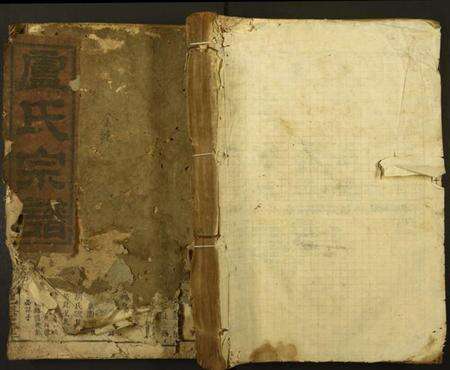 江西卢氏族谱-卢氏宗谱.pdf电子版缩略图