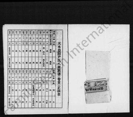 湖南尹氏族谱-天水益阳尹氏八修族谱 [4卷,首1卷].pdf电子版预览图2