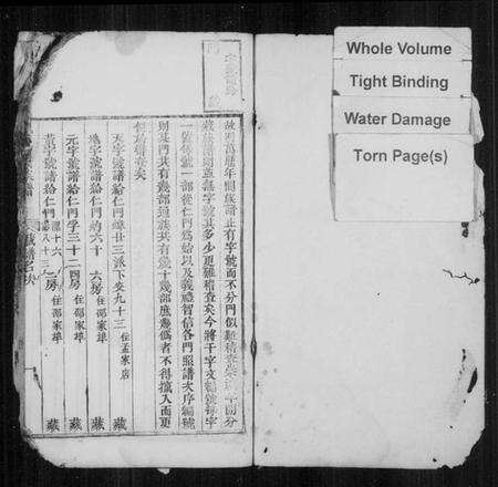 浙江倪氏族谱-龙门倪氏族谱 [残卷].pdf电子版预览图2