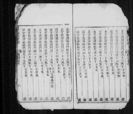 浙江倪氏族谱-龙门倪氏族谱 [残卷].pdf电子版预览图5