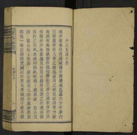 湖南尹氏族谱-洞霞尹氏三修族谱 [残卷].pdf电子版预览图1