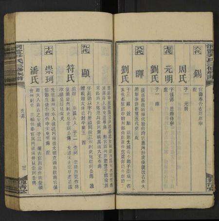 湖南尹氏族谱-洞霞尹氏三修族谱 [残卷].pdf电子版预览图4