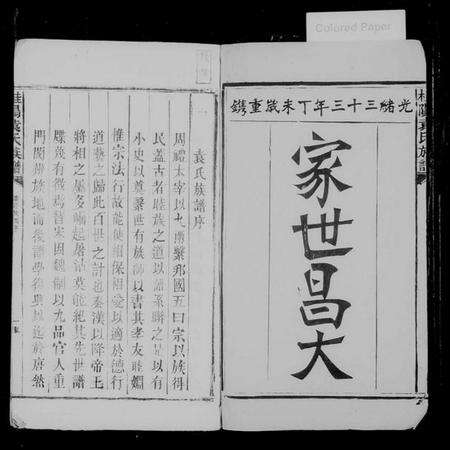 湖南袁氏族谱-桂阳袁氏族谱 [不分卷].pdf电子版预览图2