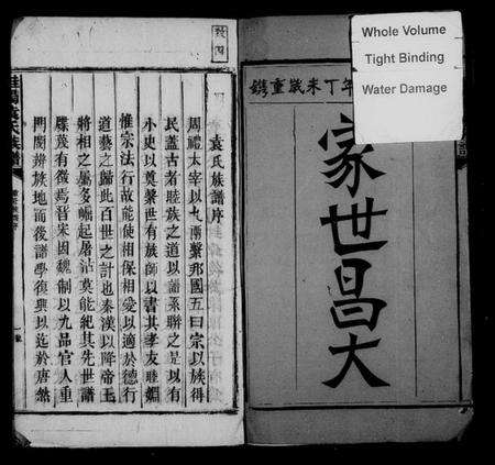 湖南袁氏族谱-桂阳袁氏族谱 [不分卷].pdf电子版预览图3