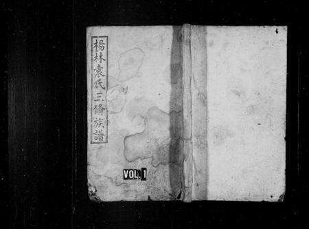 湖南袁氏族谱-杨林袁氏三修族谱 [14卷,首2卷,附录1卷].pdf电子版预览图1