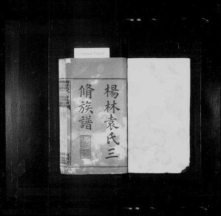 湖南袁氏族谱-杨林袁氏三修族谱 [14卷,首2卷,附录1卷].pdf电子版预览图2