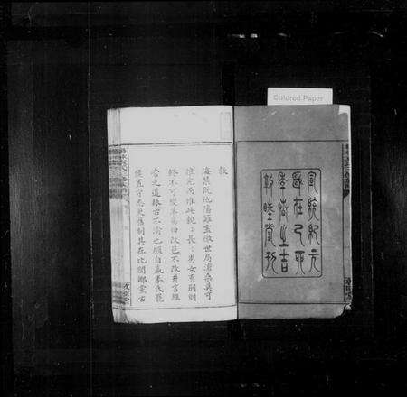 湖南袁氏族谱-杨林袁氏三修族谱 [14卷,首2卷,附录1卷].pdf电子版预览图3