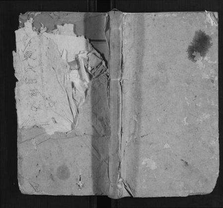 湖南袁氏族谱-杨林袁氏四修族谱 [26卷首3卷附录1册].pdf电子版缩略图