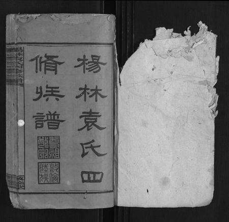 湖南袁氏族谱-杨林袁氏四修族谱 [26卷首3卷附录1册].pdf电子版预览图1