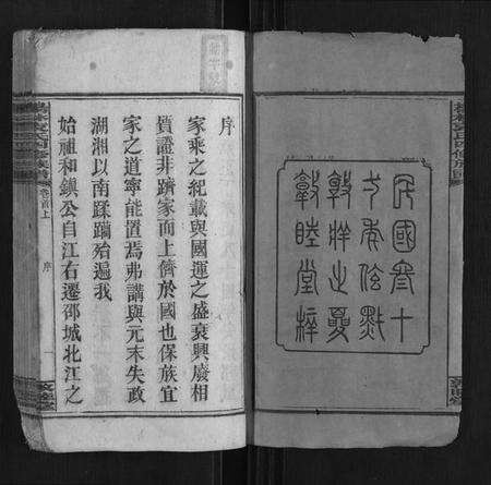 湖南袁氏族谱-杨林袁氏四修族谱 [26卷首3卷附录1册].pdf电子版预览图2